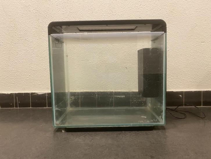 Aquarium vissen, Dieren en Toebehoren, Vissen | Aquaria en Toebehoren, Gebruikt, Leeg aquarium, Ophalen