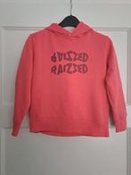 Super leuke sweater /hoodie Maat 128 Raizzed, Meisje, Trui of Vest, Ophalen of Verzenden, Zo goed als nieuw