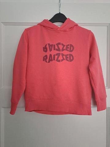 Super leuke sweater /hoodie Maat 128 Raizzed beschikbaar voor biedingen
