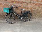 Meiden fiets, Ophalen, 22 inch, Gebruikt, Popal