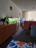 aquarium Juwel Rio 240, Dieren en Toebehoren, Vissen | Aquaria en Toebehoren, Ophalen, Gebruikt, Gevuld zoetwateraquarium