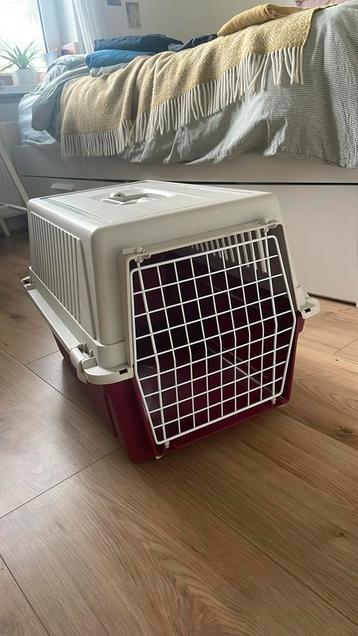 Honden/katten reismand beschikbaar voor biedingen