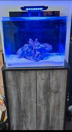 Zo goed als nieuw  blue marine reef 90 zeeaquarium  Met kast, Dieren en Toebehoren, Ophalen, Zo goed als nieuw, Gevuld zeewateraquarium