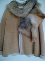 Erny van Reijmersdal, lammy coat met bontkraag, maat 40, Ophalen of Verzenden, Zo goed als nieuw, Maat 38/40 (M), Bruin