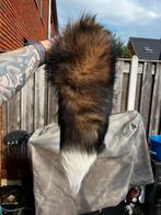 Vossenstaarten en coyotestaarten curiosa taxidermie, Ophalen of Verzenden, Nieuw, Wild dier, Overige typen