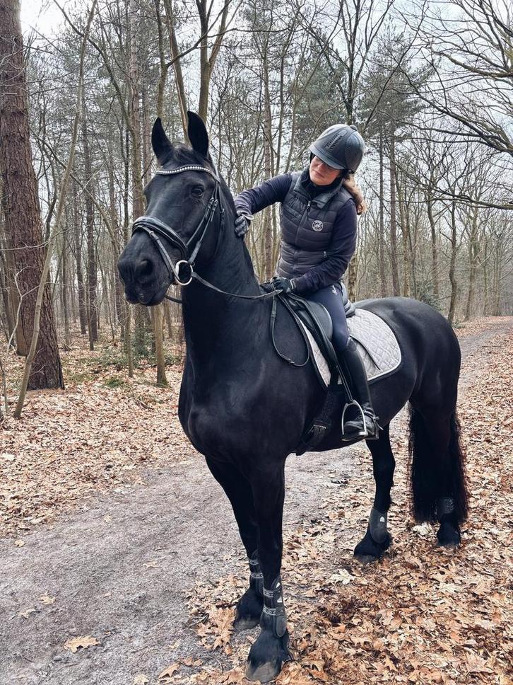 Bijrijdpaard gezocht/ bijrijder aangeboden, Dieren en Toebehoren, Paarden en Pony's | Verzorgingsproducten, Ophalen