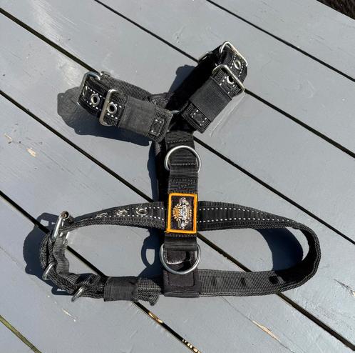 Extreme Doggear tuig, maat M, Dieren en Toebehoren, Hondenriemen, Gebruikt, Ophalen of Verzenden