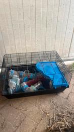 Hamsterkooi met buizen / tunnels, Kooi, Minder dan 75 cm, Zo goed als nieuw, Hamster