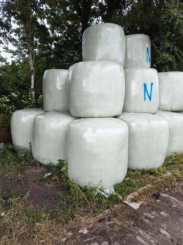  Ronde hooibalen 40 Euro beschikbaar voor biedingen
