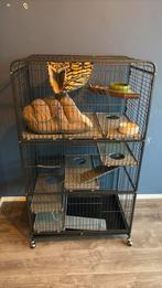 Frettenkooi met toebehoren, Dieren en Toebehoren, Knaagdieren en Konijnen | Hokken en Kooien, Ophalen, Kooi, Cavia, 90 cm of meer