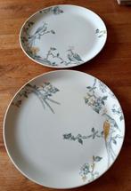 Twee diner borden Vivo Villeroy&Boch, Gebruikt, Ophalen of Verzenden, Bord(en), Overige stijlen
