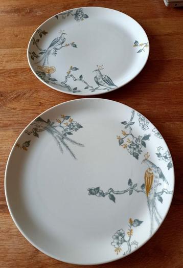 Twee diner borden Vivo Villeroy&Boch beschikbaar voor biedingen