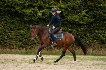 Zeer chique allround eyecatcher !! beschikbaar voor biedingen