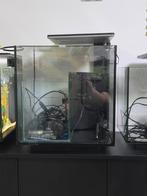 Qubic 30 en qubic 60, Dieren en Toebehoren, Ophalen, Zo goed als nieuw, Leeg aquarium