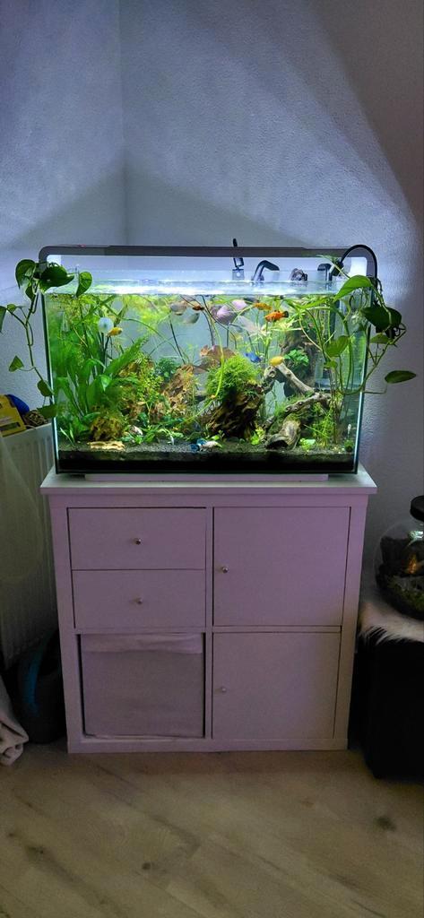 Superfish Home 110 met meubel, Dieren en Toebehoren, Vissen | Aquaria en Toebehoren, Zo goed als nieuw, Gevuld zoetwateraquarium