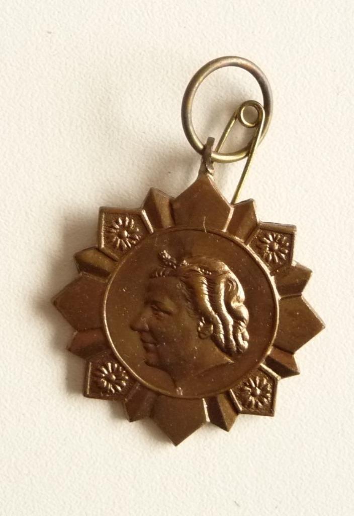 SPELD WILHELMINA 50 JAAR EN MEDAILLE KON JULIANA BRONS, Verzamelen, Koninklijk Huis en Royalty, Zo goed als nieuw, Overige typen
