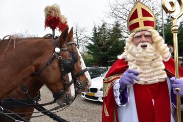 Pieten gezocht intocht zevenkamp beschikbaar voor biedingen