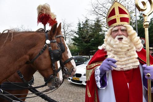 Pieten gezocht intocht zevenkamp, Diversen, Sinterklaas, Nieuw, Ophalen