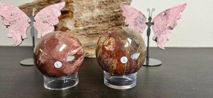 versteend hout bollen, Verzamelen, Mineralen en Fossielen, Ophalen of Verzenden