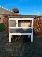 Konijnenhok, Dieren en Toebehoren, Knaagdieren en Konijnen | Hokken en Kooien, Ophalen of Verzenden, Gebruikt, Hok, Cavia