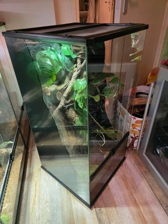Exo terra terrarium 90x45x45, Dieren en Toebehoren, Reptielen en Amfibieën | Toebehoren, Zo goed als nieuw, Ophalen