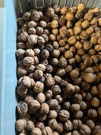 Walnoten 2025 €4 per kilo, Ophalen of Verzenden