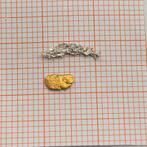 6mm Goud nugget en 11mm Zilver Nugget uit Alaska, Ophalen of Verzenden, Goud