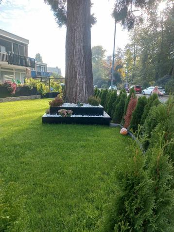 Plantenbakken  beschikbaar voor biedingen