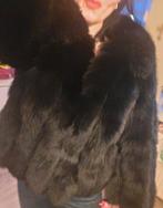 Zwarte echte saga bontjas vos nieuw ,prachtig! S/M/L, Maat 38/40 (M), Zwart, Nieuw, Ophalen of Verzenden