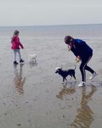 Een tweede thuis voor uw hond! Betrouwbare hondenoppas, Particuliere oppas