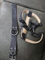 Honden halsband,leer. Honden tuigje, Dieren en Toebehoren, Ophalen of Verzenden