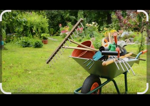 Tuinman Tuin terras schoonmaken, Vacatures, Vacatures | Schoonmaak en Facilitaire diensten, Overige niveaus, Vanaf 10 jaar, Overige vormen