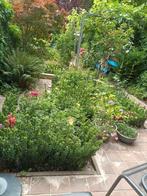 Hovenier, tuinaanleg, tuinonderhoud, bestrating, Garantie, Tuinontwerp