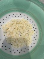 Kefir korrels - gratis ophalen, Diversen, Ophalen of Verzenden
