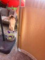 Esvo all weather windscherm gebogen, Ophalen