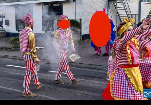 Serveerster pakken, Kleding | Dames, Carnavalskleding en Feestkleding, Gedragen, Kleding, Carnaval, Maat 38/40 (M), Ophalen of Verzenden