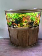Aqualantis aquarium 120cm, Dieren en Toebehoren, Ophalen, Zo goed als nieuw, Gevuld zoetwateraquarium