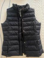 McGregor Dames Bodywarmer Maat S, Ophalen of Verzenden, Zo goed als nieuw, Maat 36 (S), Blauw