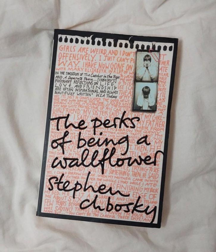 The Perks of Being a Wallflower - Stephen Chbosky, Boeken, Literatuur, Gelezen, Amerika, Verzenden