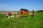 Trespa Kippenhok / Duplex L - Cucciolotta, Dieren en Toebehoren, Pluimvee | Toebehoren, Ophalen of Verzenden, Nieuw, Kippenhok of Kippenren