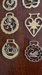 Te koop, Dieren en Toebehoren, Ophalen of Verzenden, Nieuw, Overige soorten