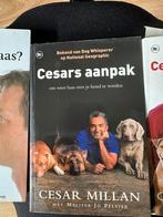 Cesar Millan - Cesars aanpak, Honden, Cesar Millan, Ophalen of Verzenden, Zo goed als nieuw