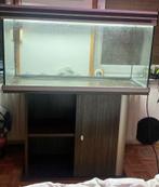 Aquarium, Ophalen, Gebruikt, Leeg aquarium