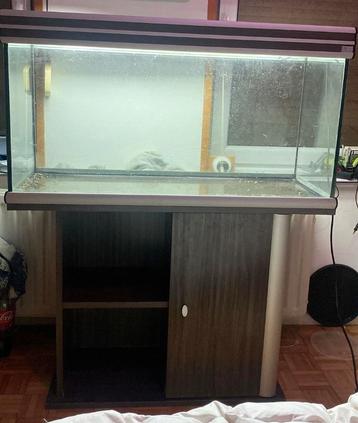 Aquarium beschikbaar voor biedingen