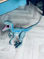 Dino Blue - 1 Meter Lang, Ophalen, Zo goed als nieuw