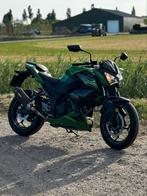 Kawasaki Z300, Particulier, Naked bike