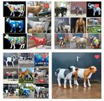 Koe beeld in de tuin, polyester koe, varken, tuinbeeld kalf, Ophalen, Nieuw, Kunststof, Dierenbeeld