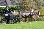 Marathonwagen shet/ A/B/C pony., Dieren en Toebehoren, Ophalen
