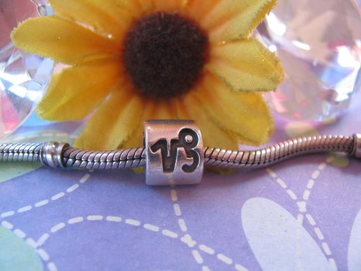 Pandora bedel P159 = sterrenbeeld STEENBOK, Sieraden, Tassen en Uiterlijk, Bedels, Zo goed als nieuw, Pandora, Zilver, 1 bedel