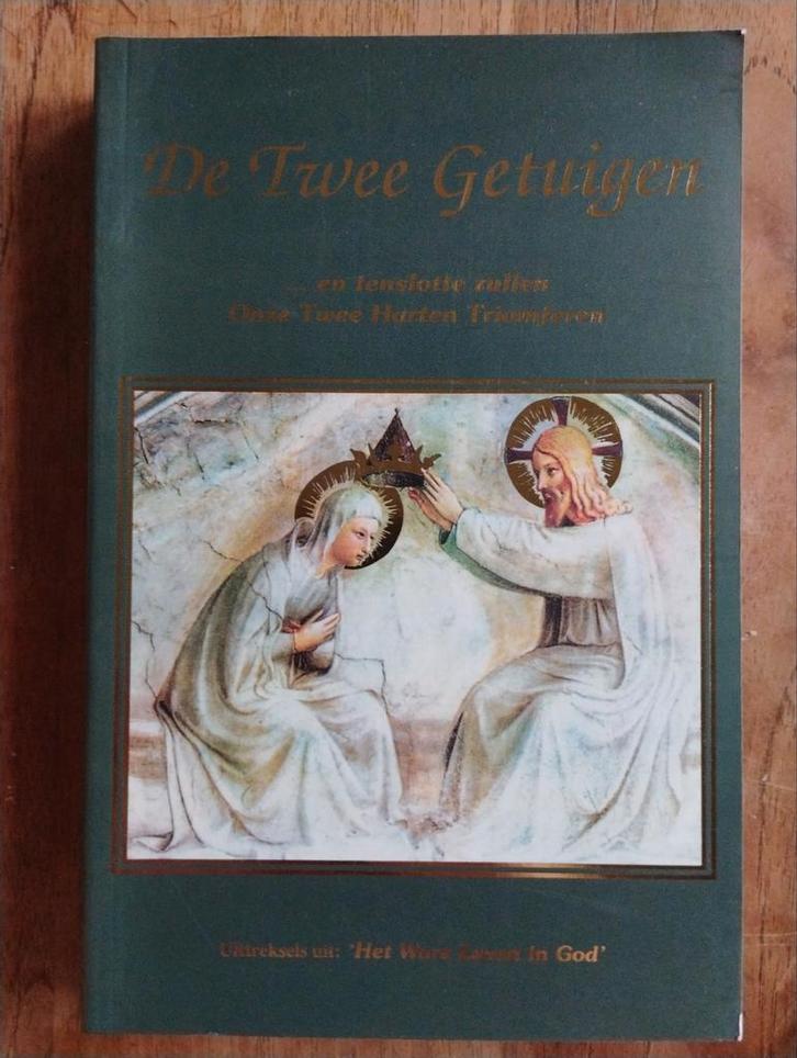 De Twee Getuigen - Zeldzaam!, Boeken, Godsdienst en Theologie, Zo goed als nieuw, Christendom | Katholiek, Ophalen of Verzenden